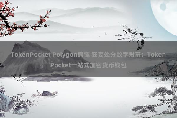 TokenPocket Polygon跨链 狂妄处分数字财富：TokenPocket一站式加密货币钱包