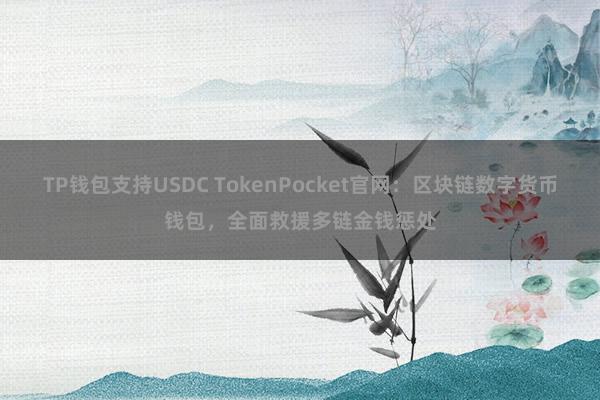 TP钱包支持USDC TokenPocket官网：区块链数字货币钱包，全面救援多链金钱惩处